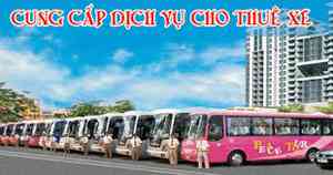 album anh hoa mai album anh hoa mai